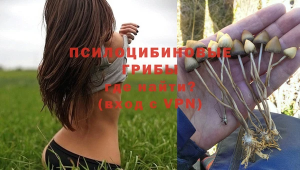 мет Баксан
