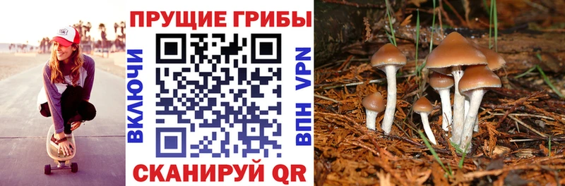 Псилоцибиновые грибы ЛСД  Казань 